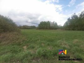 Nieruchomości Zielona Góra - DziaŁka Rolna W Piaskach Gm. ŚWidnica